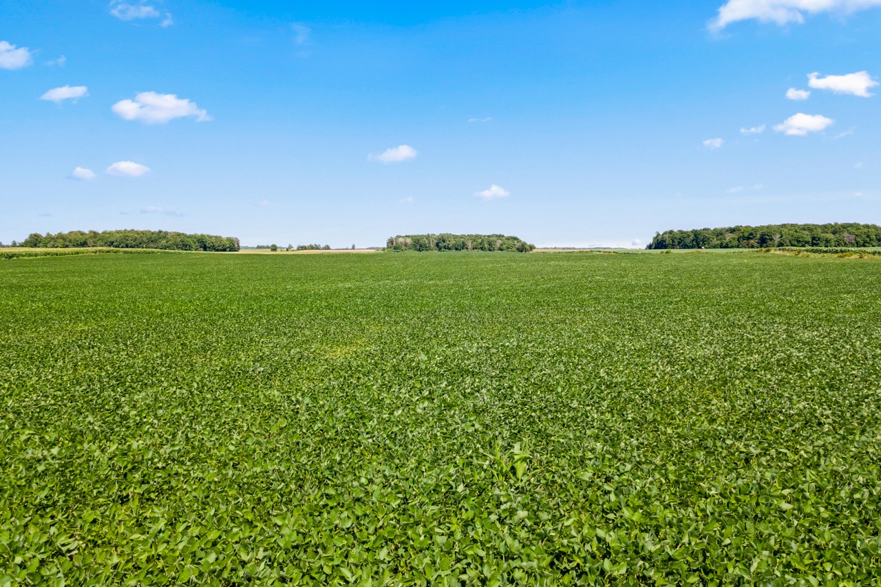 73874 Morrison Line, Kippen, Ontario    - Photo 9 - RP7522201869