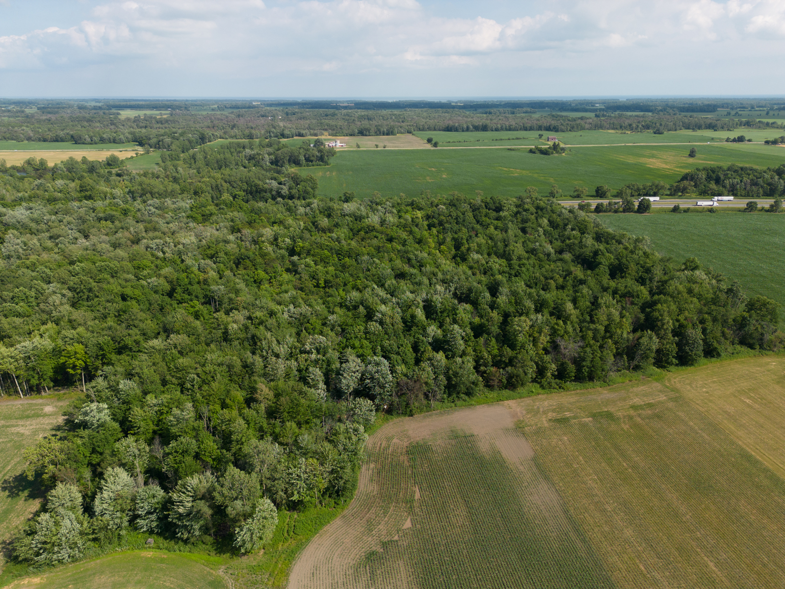 27289 Aberdeen Line, Dutton, Ontario  N0L 1J0 - Photo 29 - RP2825093981