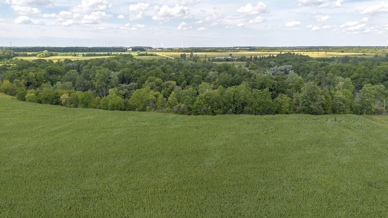 26523 Poplar Hill Rd, Parkhill, Ontario    - Photo 11 - RP513250874