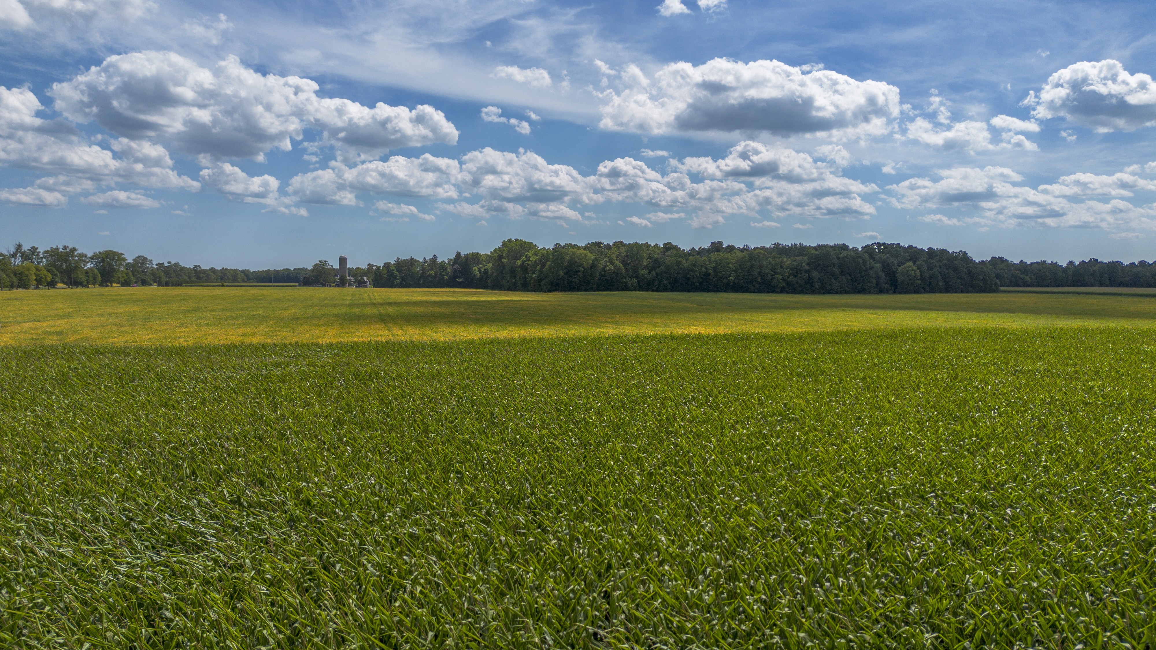 26523 Poplar Hill Rd, Parkhill, Ontario    - Photo 16 - RP513250874