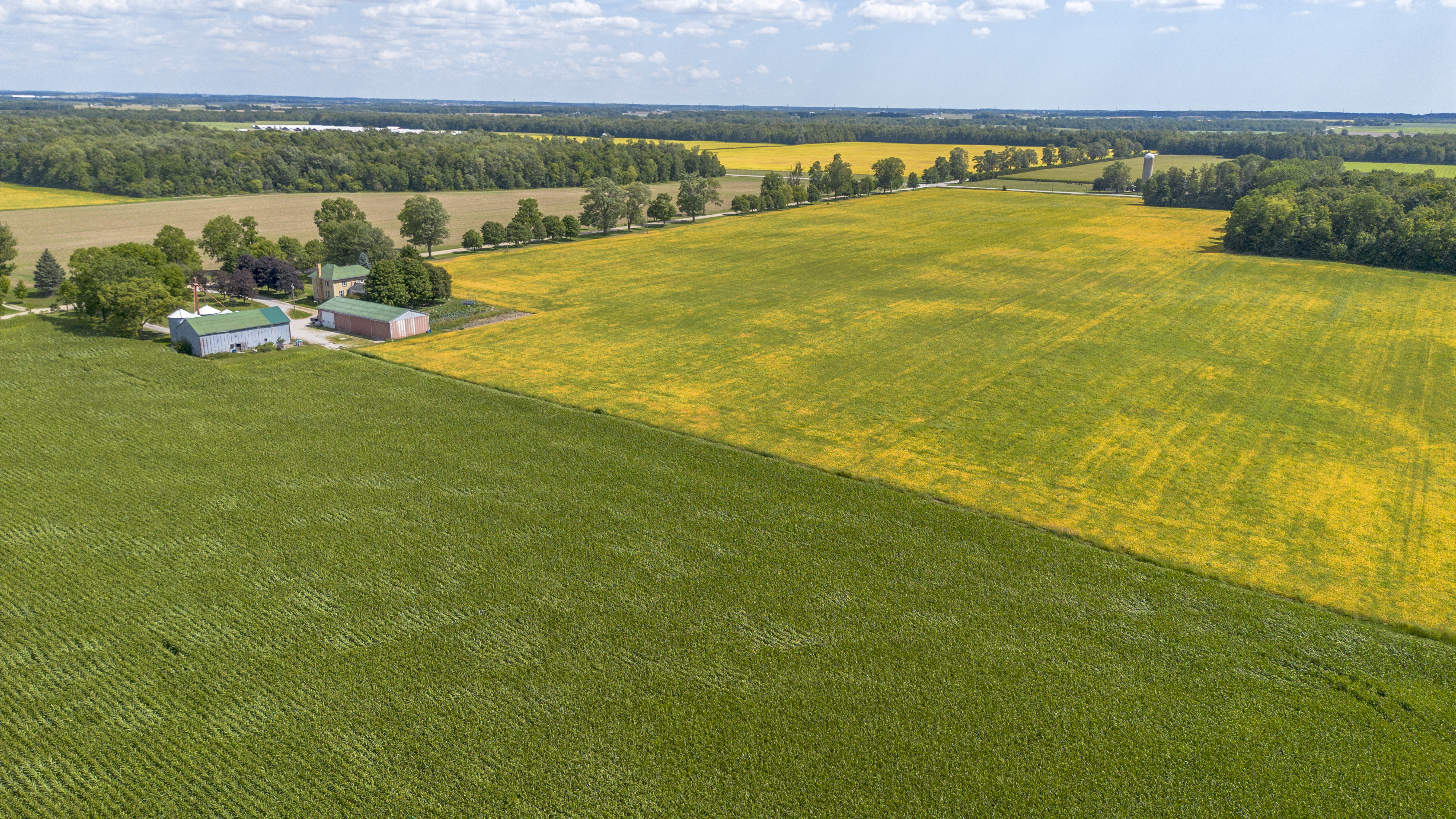 26523 Poplar Hill Rd, Parkhill, Ontario    - Photo 18 - RP513250874