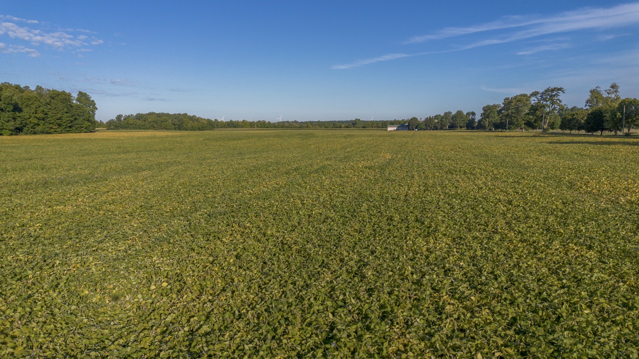 26523 Poplar Hill Rd, Parkhill, Ontario    - Photo 5 - RP513250874