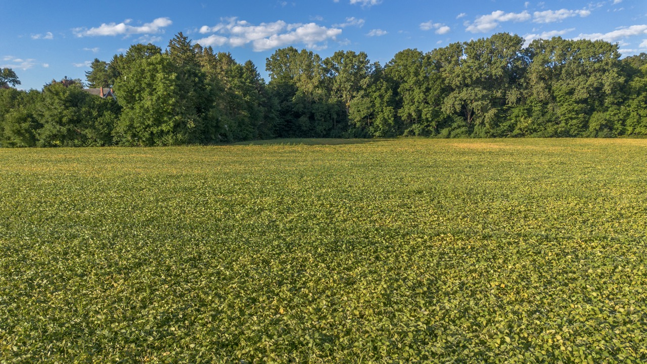 26523 Poplar Hill Rd, Parkhill, Ontario    - Photo 6 - RP513250874