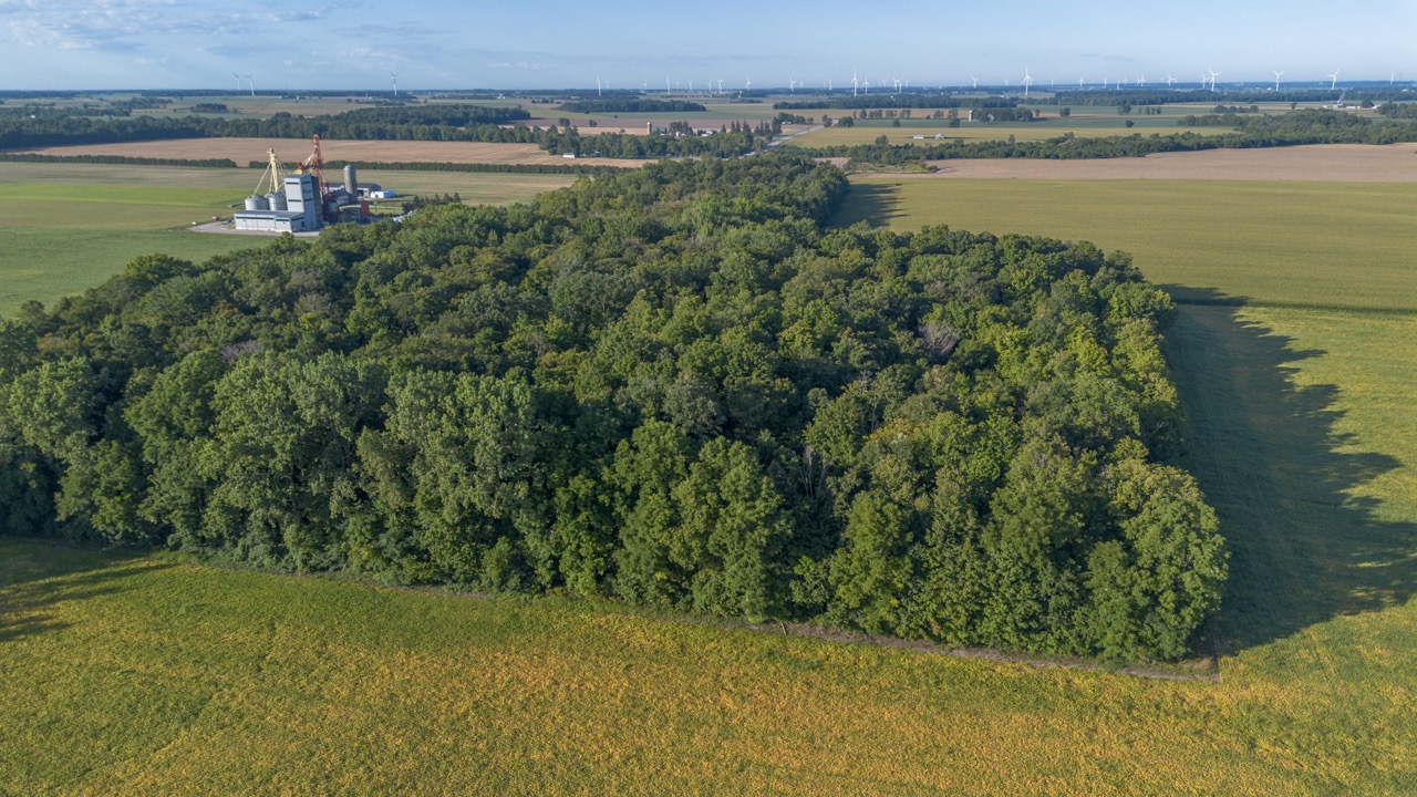 26523 Poplar Hill Rd, Parkhill, Ontario    - Photo 7 - RP513250874