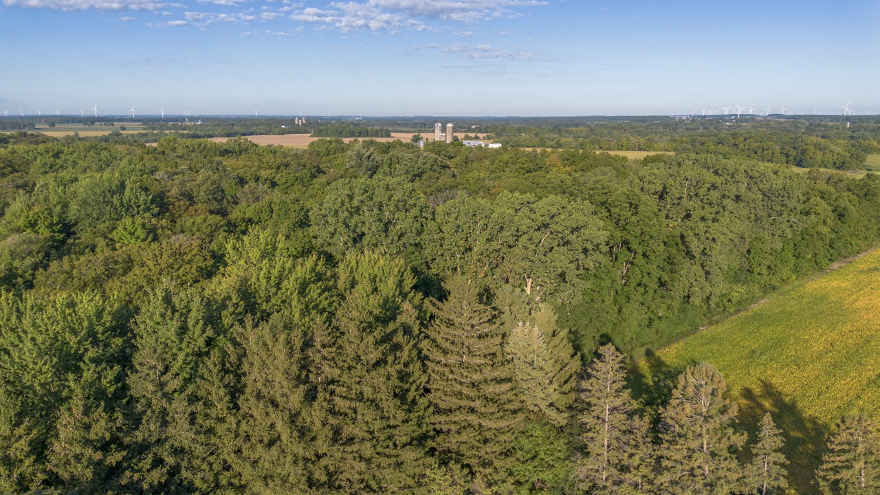 26523 Poplar Hill Rd, Parkhill, Ontario    - Photo 8 - RP513250874