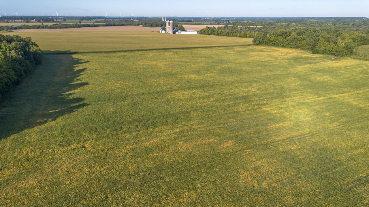 26523 Poplar Hill Rd, Parkhill, Ontario    - Photo 9 - RP513250874