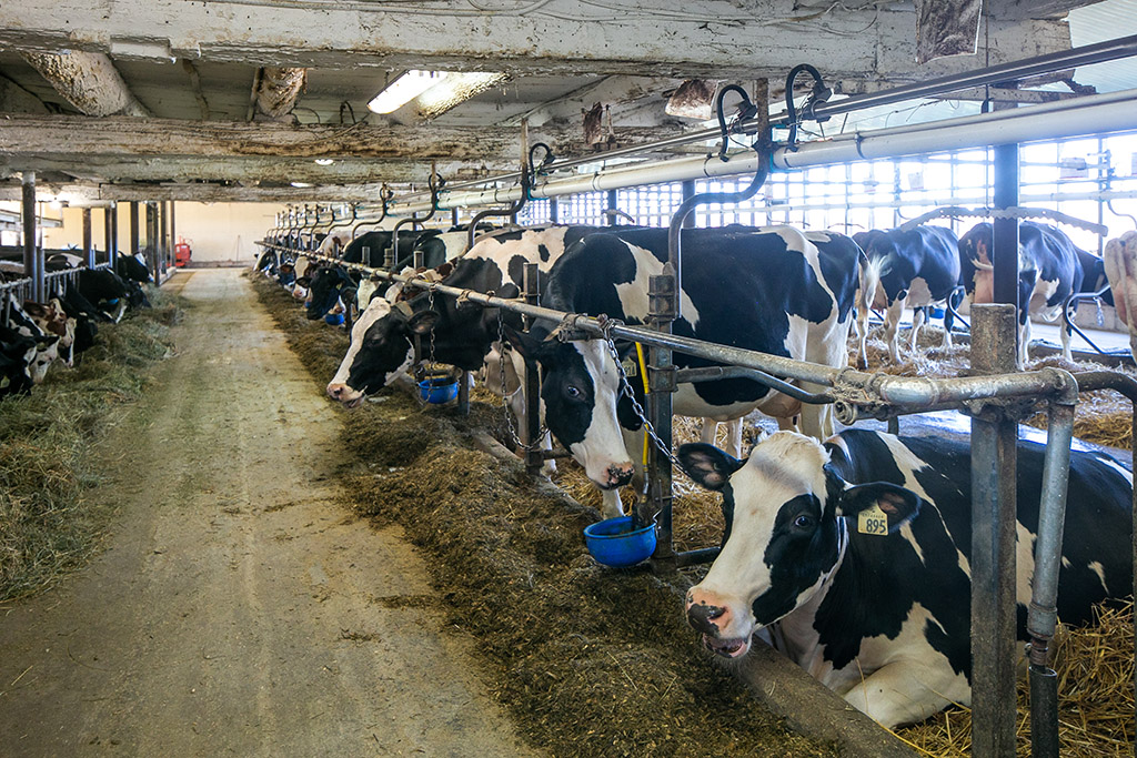 595224 4th Line, Ravenna, Ontario    - Photo 14 - RP5460614099