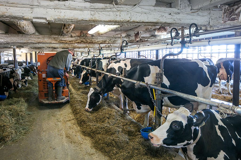 595224 4th Line, Ravenna, Ontario    - Photo 15 - RP5460614099