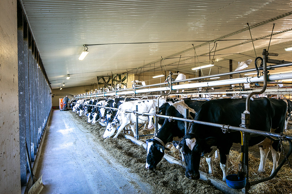 595224 4th Line, Ravenna, Ontario    - Photo 16 - RP5460614099