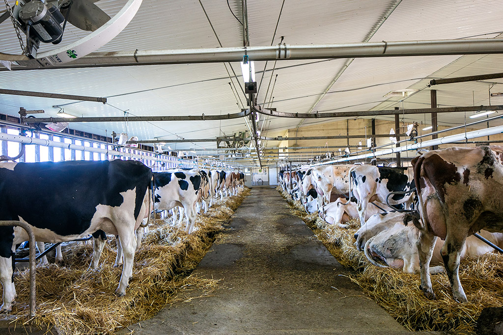 595224 4th Line, Ravenna, Ontario    - Photo 17 - RP5460614099