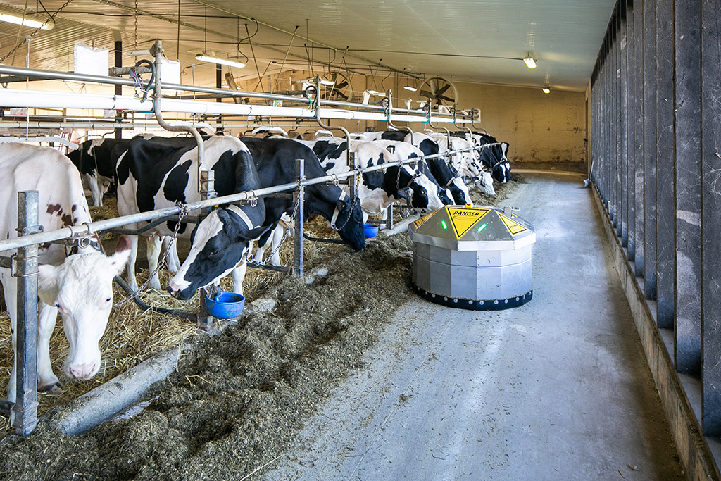 595224 4th Line, Ravenna, Ontario    - Photo 18 - RP5460614099