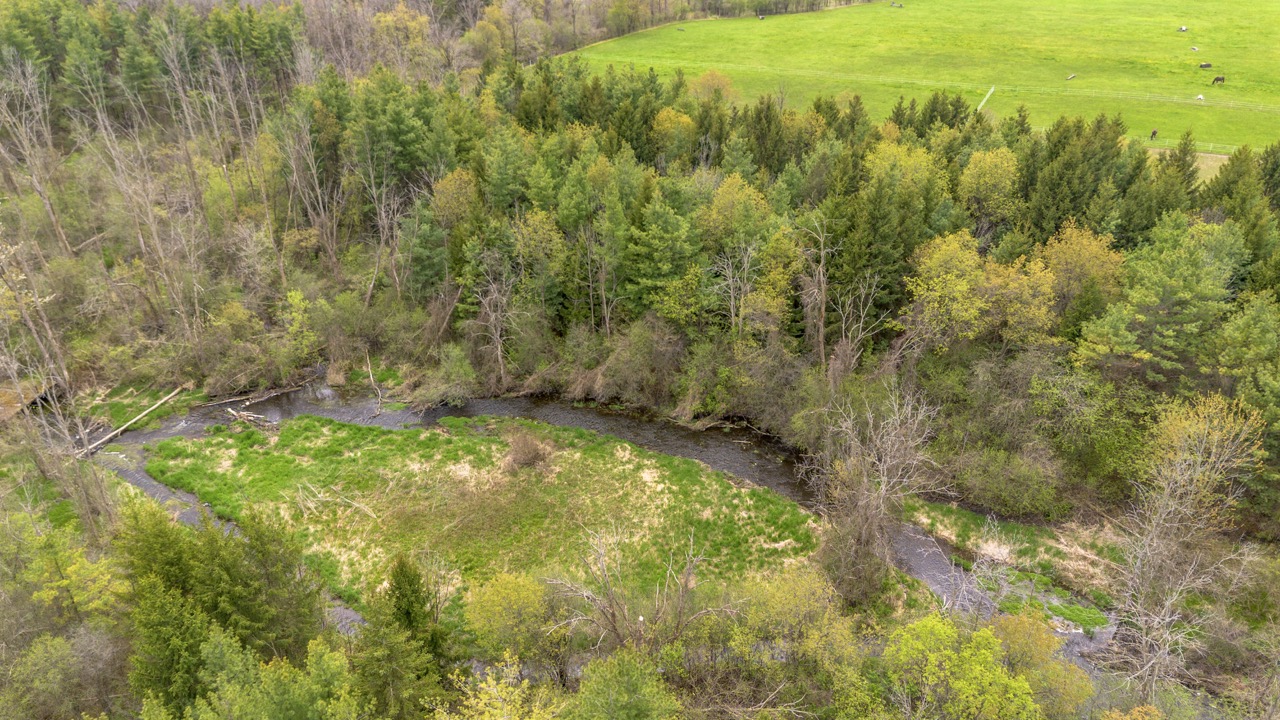 2124 Concession 6 W, Flamborough, Ontario  N0B 1L0 - Photo 10 - X12146456