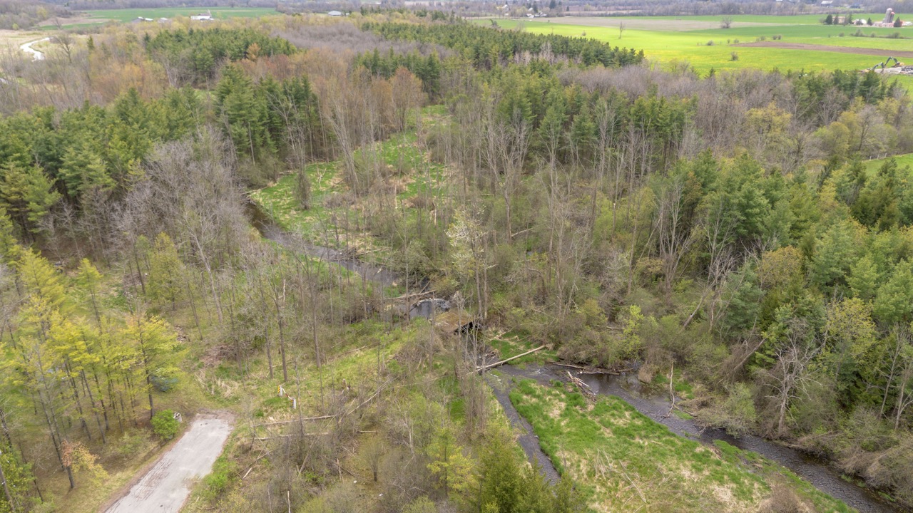 2124 Concession 6 W, Flamborough, Ontario  N0B 1L0 - Photo 11 - X12146456