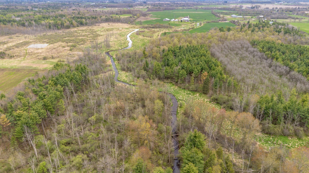 2124 Concession 6 W, Flamborough, Ontario  N0B 1L0 - Photo 12 - X12146456