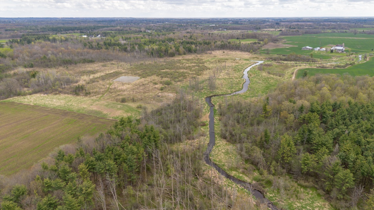 2124 Concession 6 W, Flamborough, Ontario  N0B 1L0 - Photo 13 - X12146456