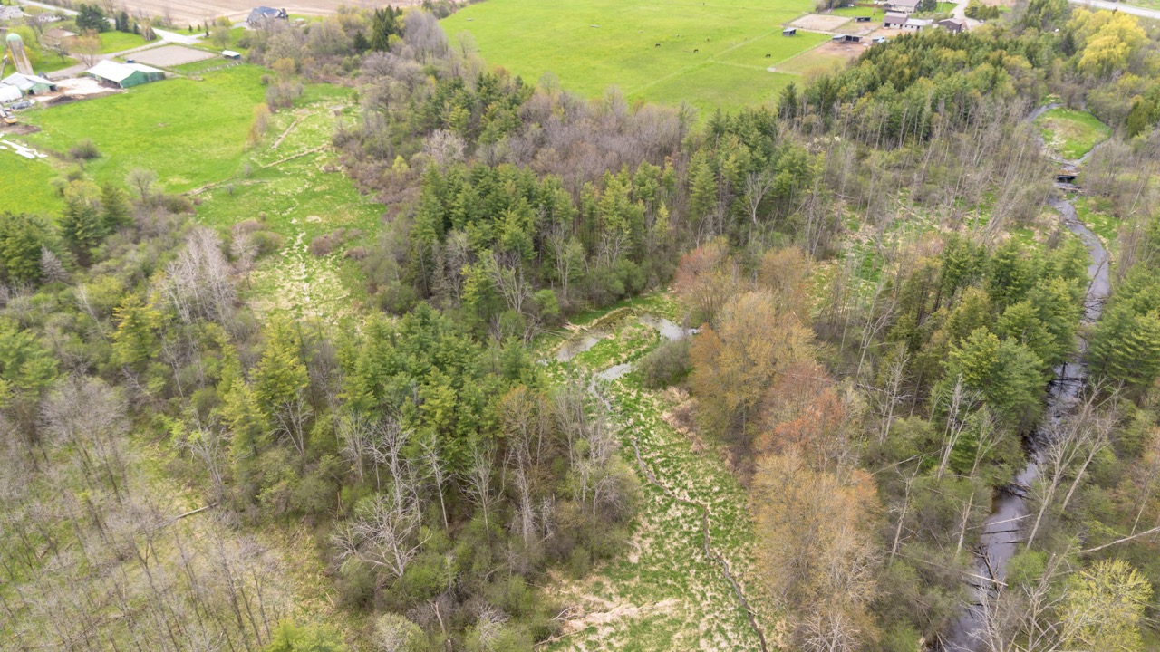 2124 Concession 6 W, Flamborough, Ontario  N0B 1L0 - Photo 16 - X12146456