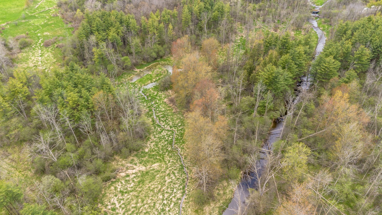 2124 Concession 6 W, Flamborough, Ontario  N0B 1L0 - Photo 17 - X12146456