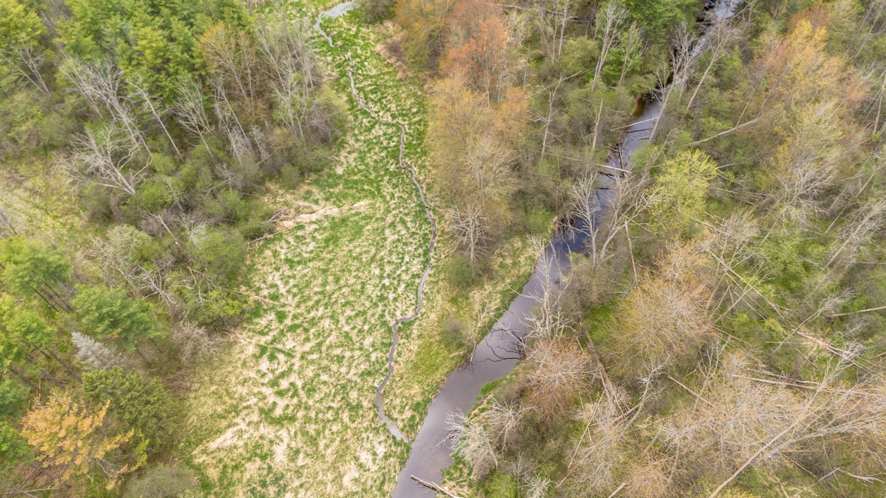 2124 Concession 6 W, Flamborough, Ontario  N0B 1L0 - Photo 18 - X12146456