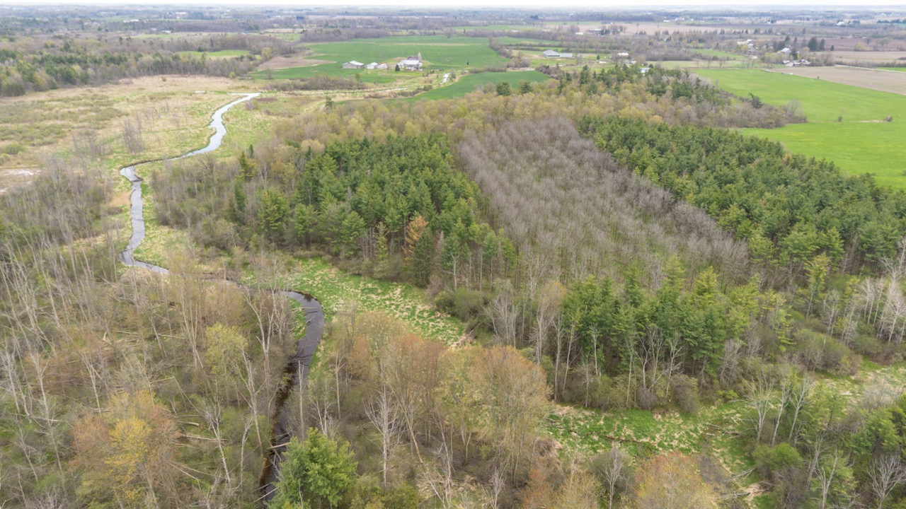 2124 Concession 6 W, Flamborough, Ontario  N0B 1L0 - Photo 19 - X12146456