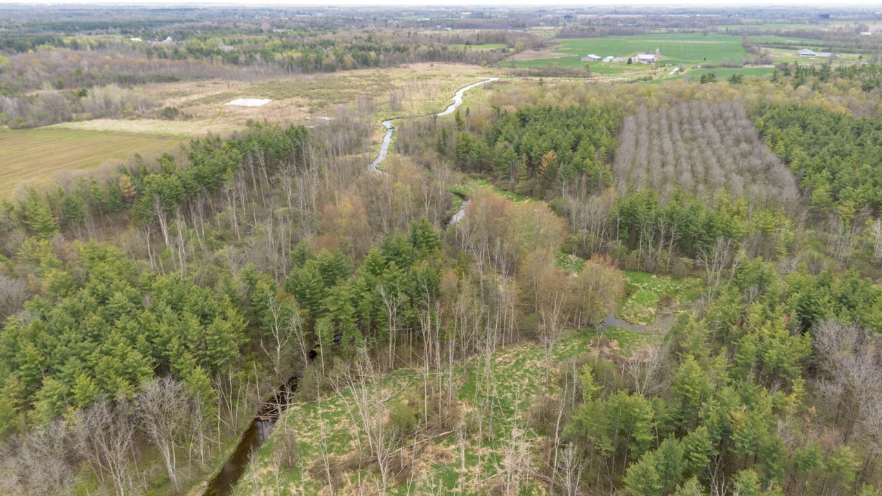 2124 Concession 6 W, Flamborough, Ontario  N0B 1L0 - Photo 20 - X12146456