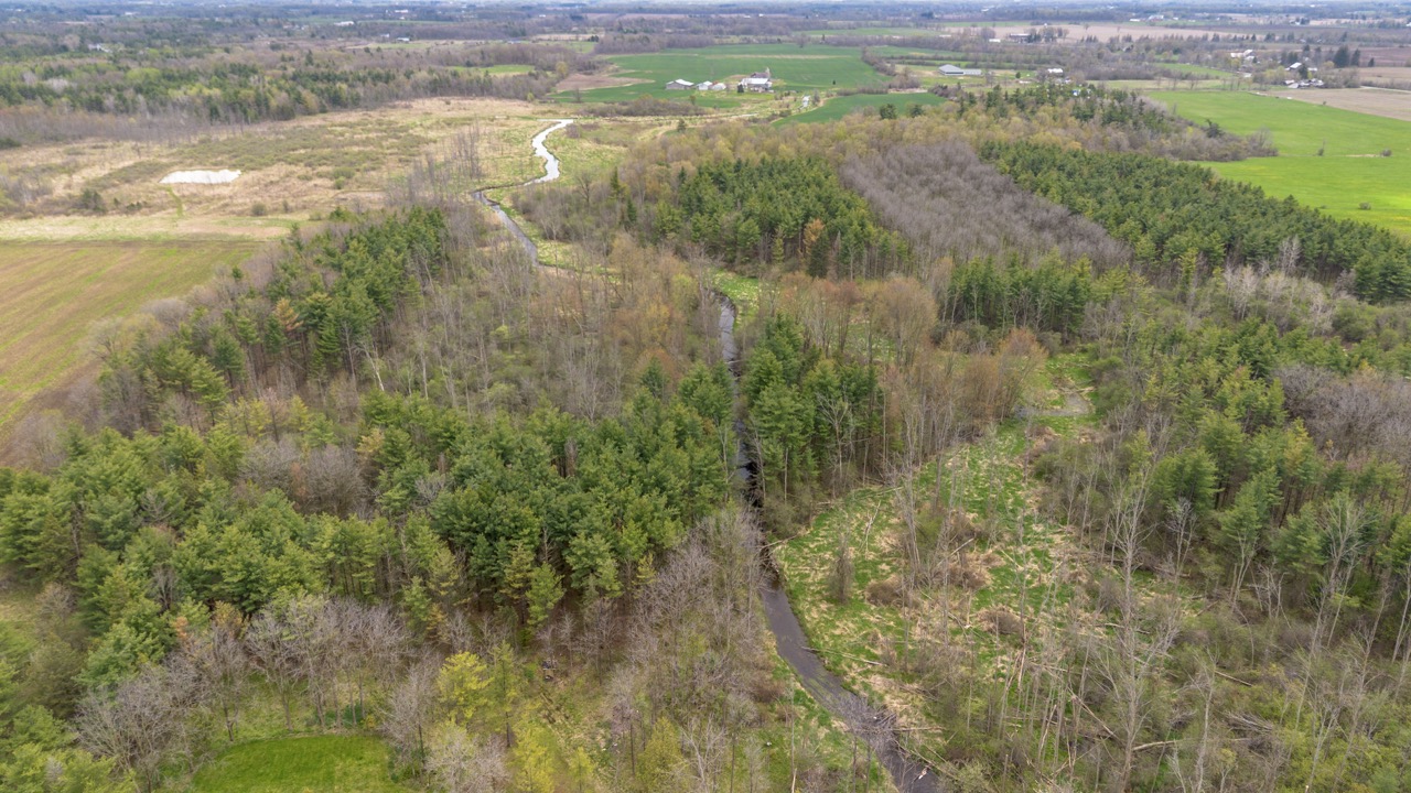 2124 Concession 6 W, Flamborough, Ontario  N0B 1L0 - Photo 7 - X12146456