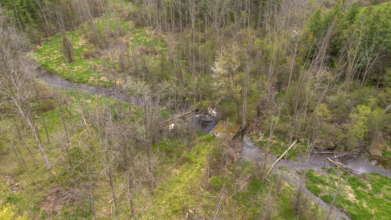 2124 Concession 6 W, Flamborough, Ontario  N0B 1L0 - Photo 8 - X12146456