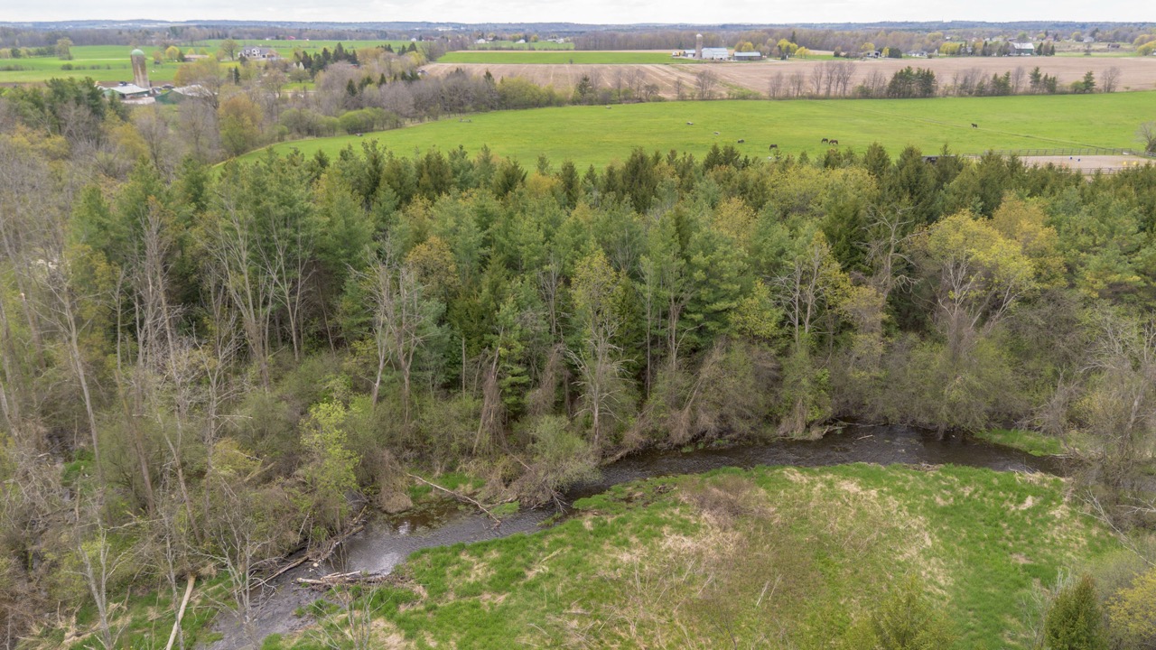 2124 Concession 6 W, Flamborough, Ontario  N0B 1L0 - Photo 9 - X12146456