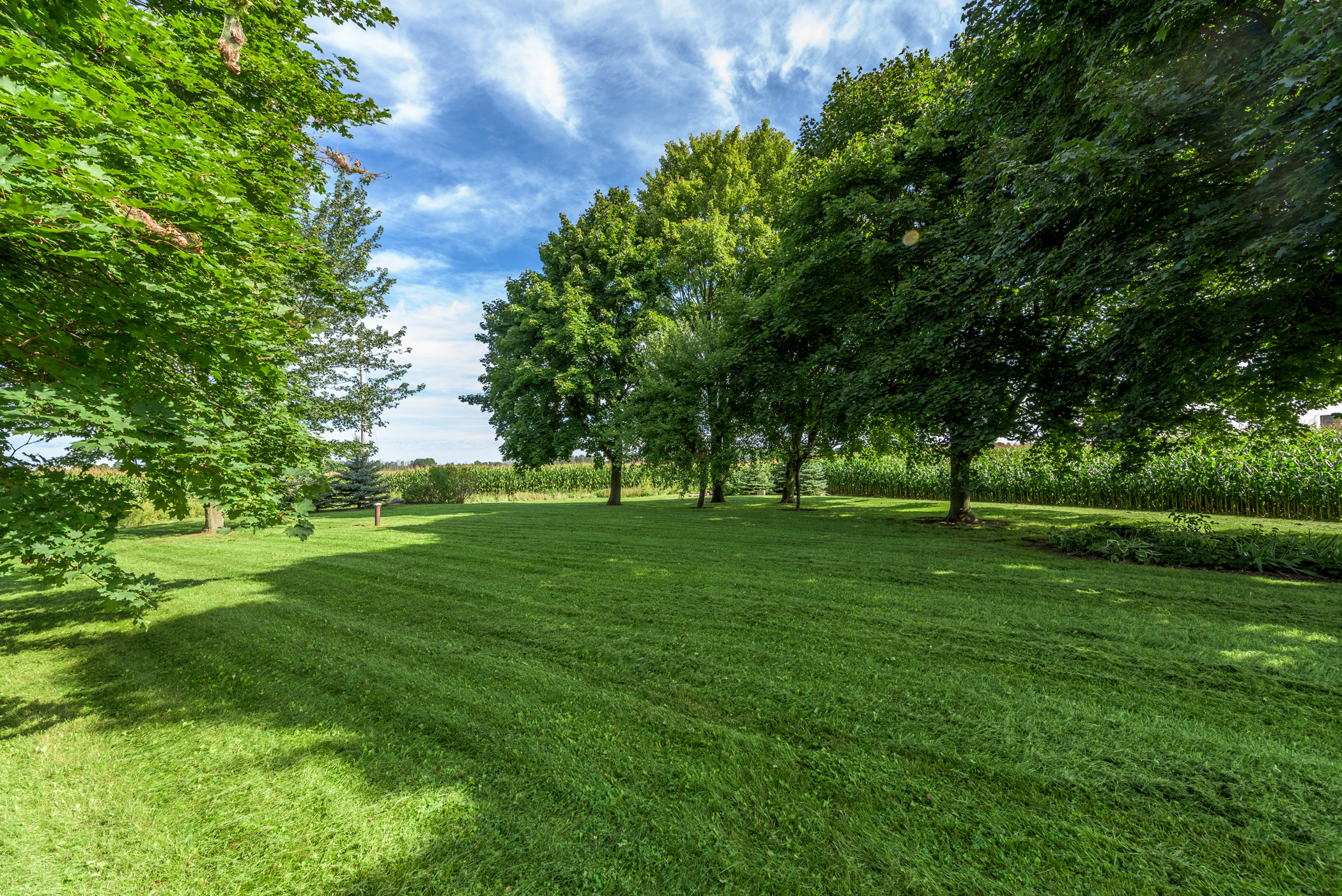 30244 Centre Rd, Strathroy, Ontario  N7G 3H7 - Photo 4 - RP1168673168