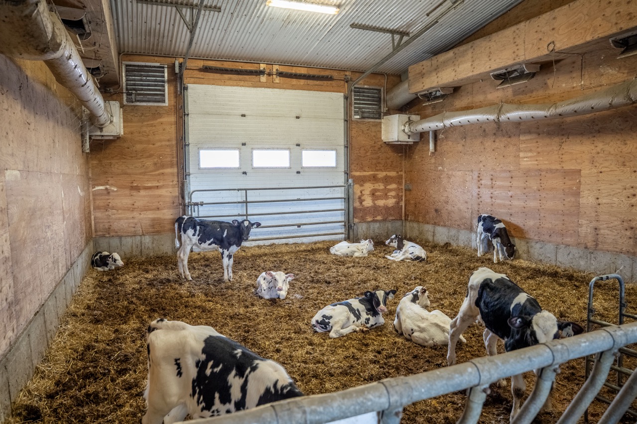 34212 Denfield Rd, Lucan, Ontario    - Photo 20 - RP7981442044
