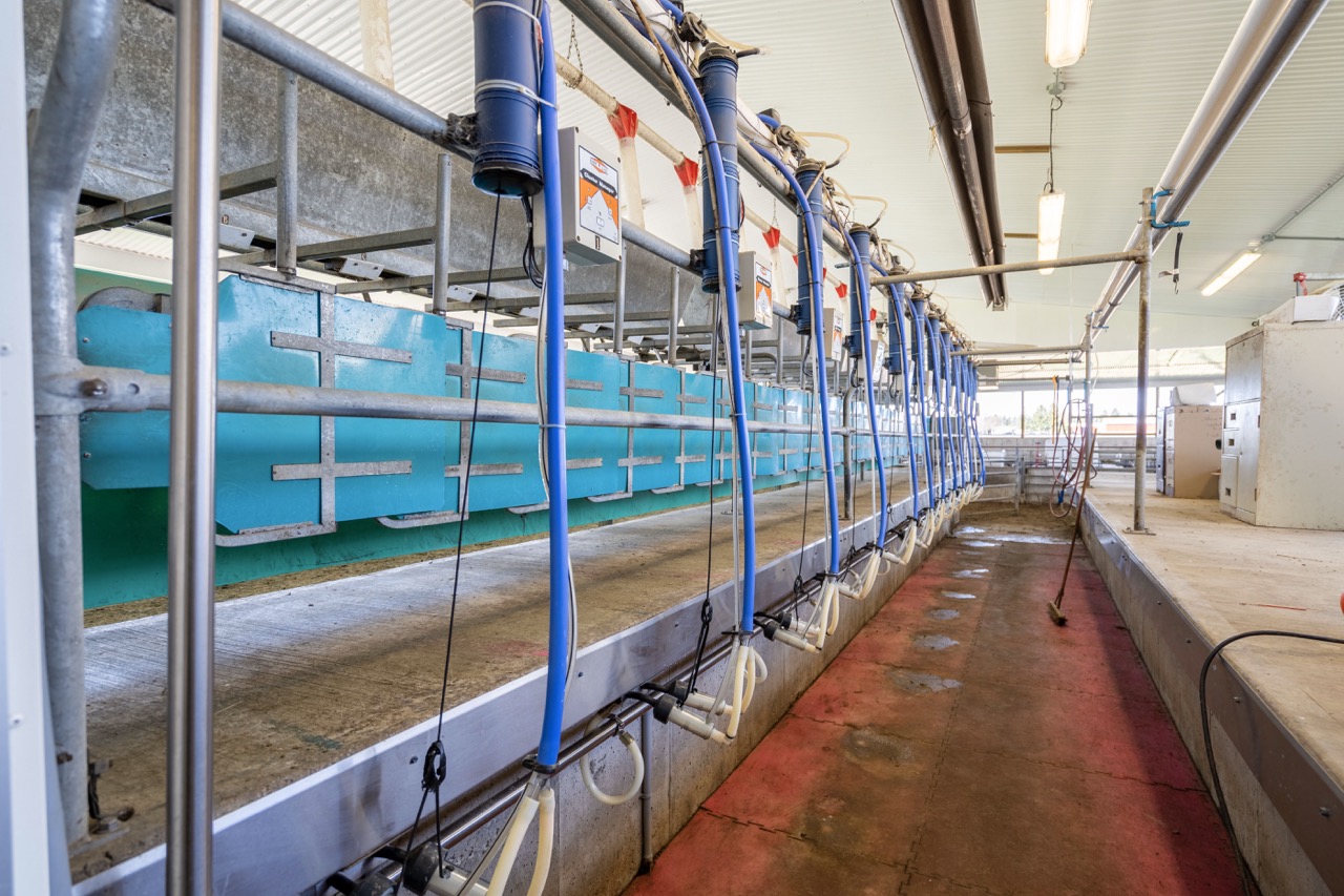 47200 Mapleton Line, Aylmer, Ontario    - Photo 14 - RP7635529196