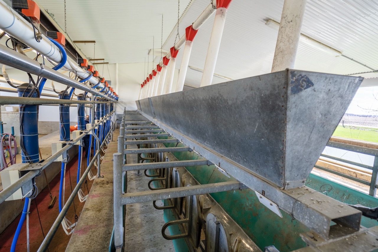 47200 Mapleton Line, Aylmer, Ontario    - Photo 16 - RP7635529196