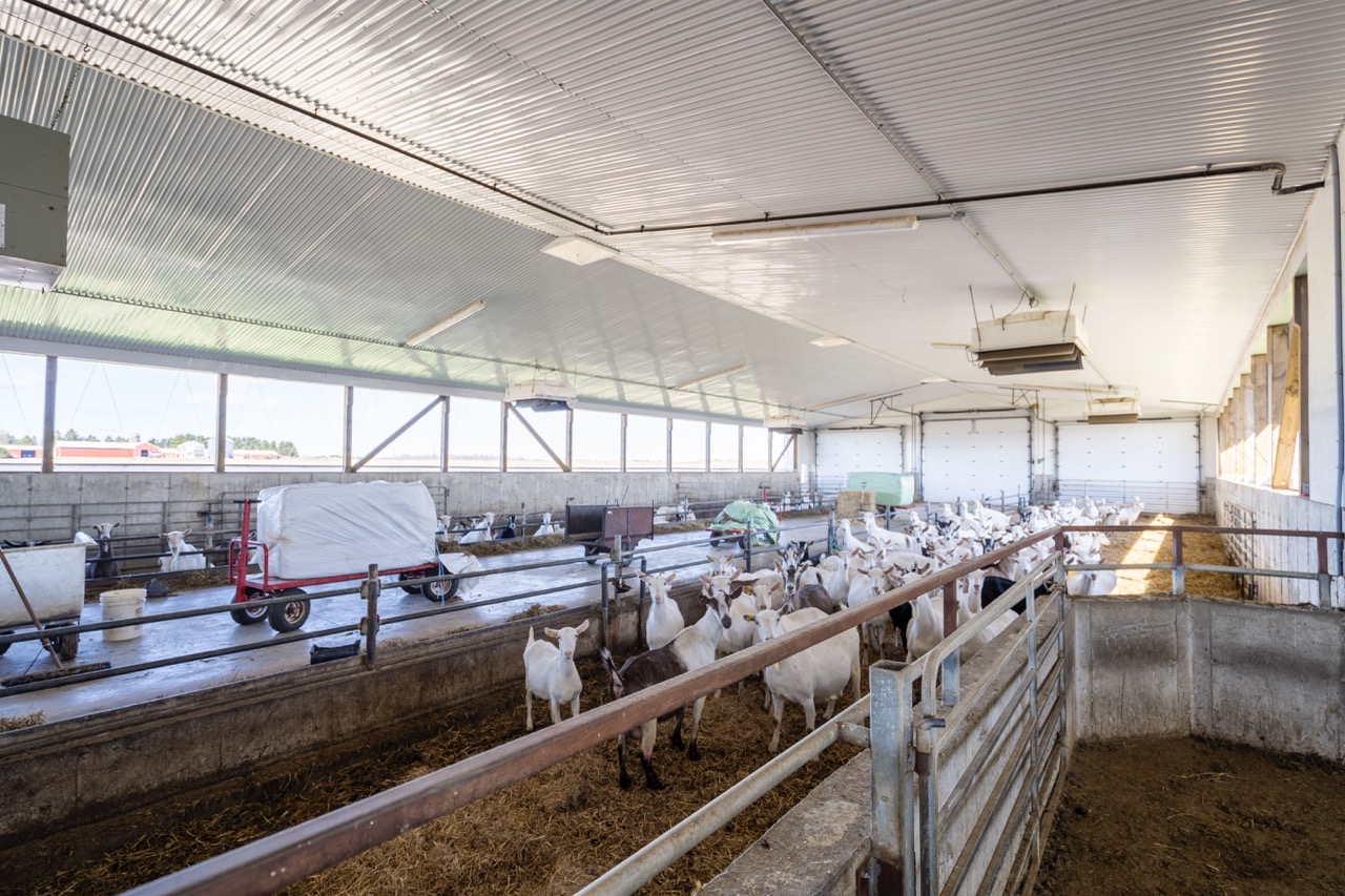 47200 Mapleton Line, Aylmer, Ontario    - Photo 17 - RP7635529196