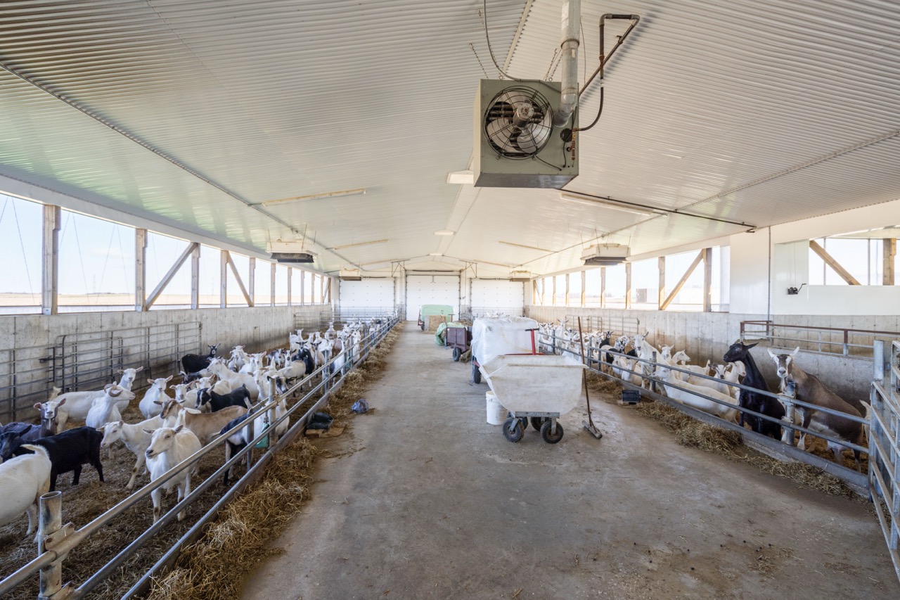 47200 Mapleton Line, Aylmer, Ontario    - Photo 18 - RP7635529196