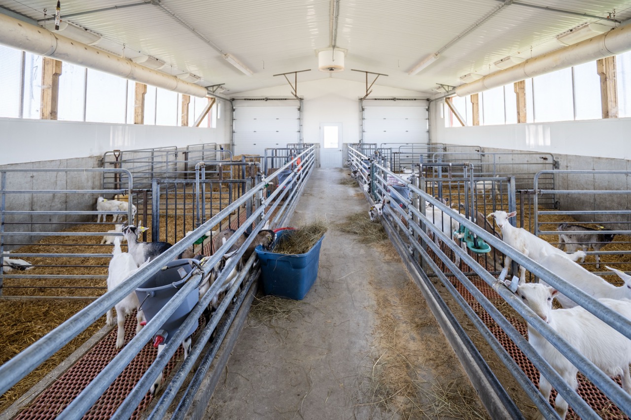 47200 Mapleton Line, Aylmer, Ontario    - Photo 20 - RP7635529196