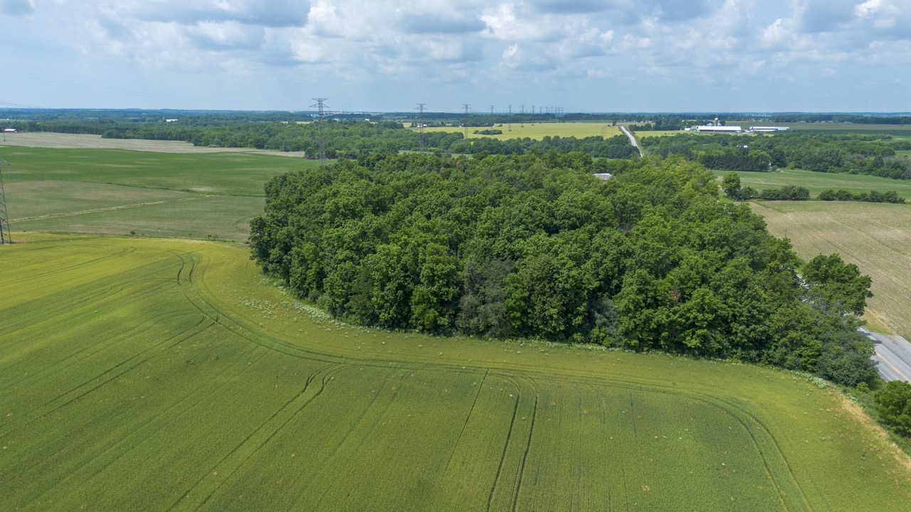 47200 Mapleton Line, Aylmer, Ontario    - Photo 7 - RP7635529196