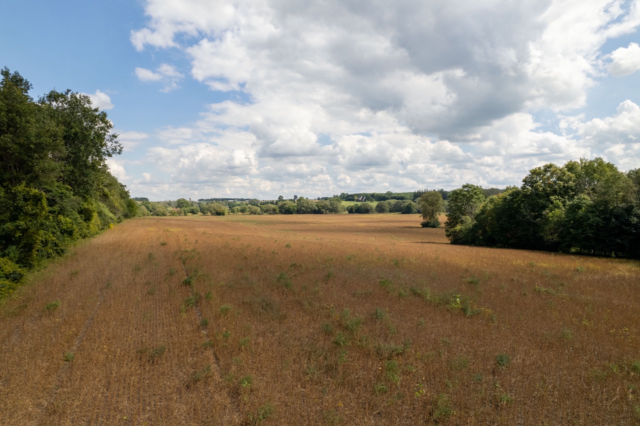 357051 35th Line, Embro, Ontario  N0J 1J0 - Photo 13 - RP1393763976