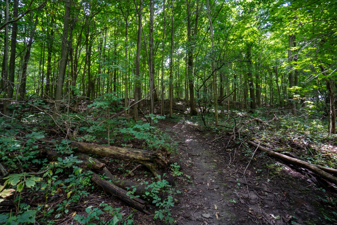 357051 35th Line, Embro, Ontario  N0J 1J0 - Photo 17 - RP1393763976