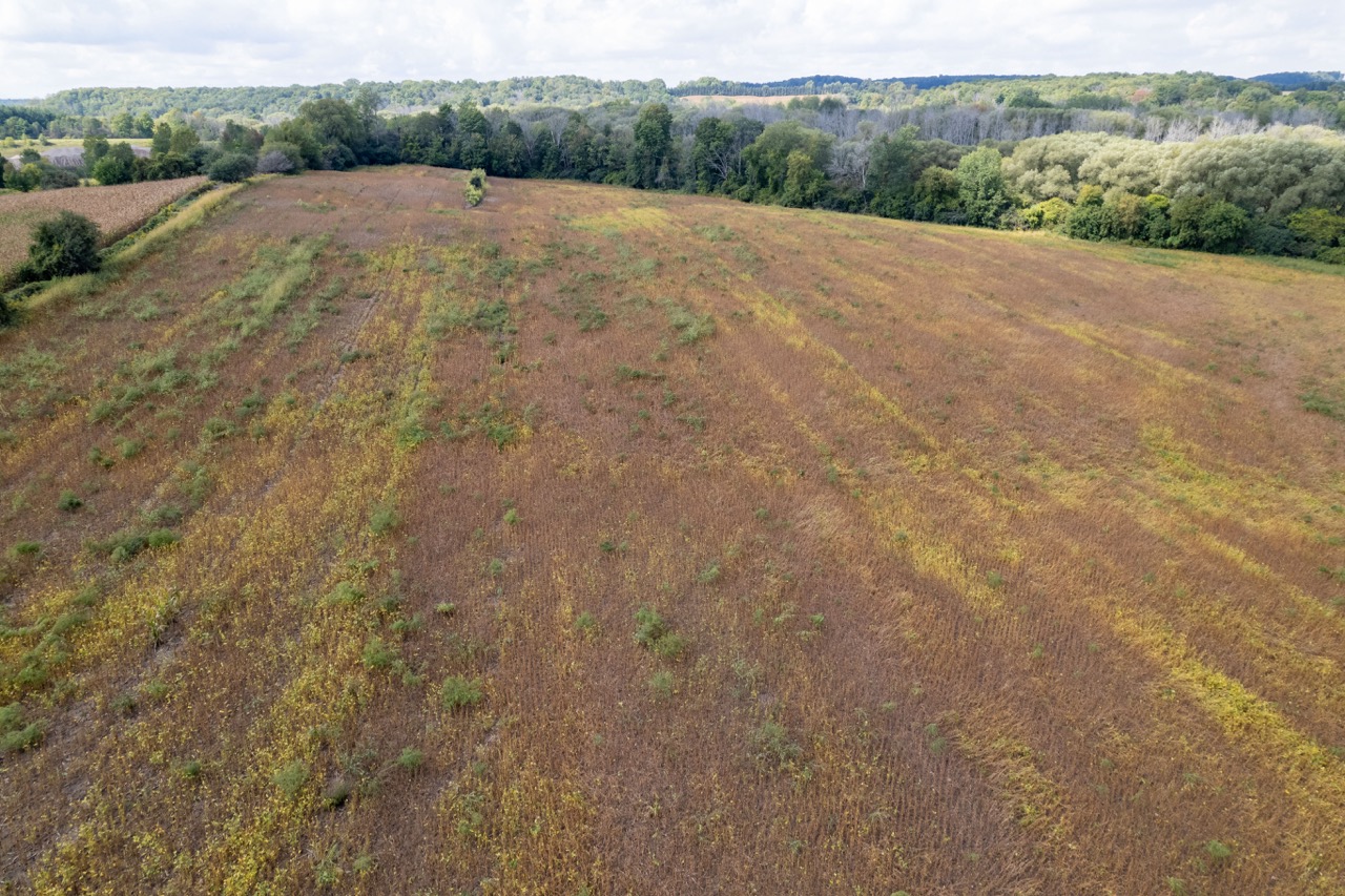 357051 35th Line, Embro, Ontario  N0J 1J0 - Photo 2 - RP1393763976