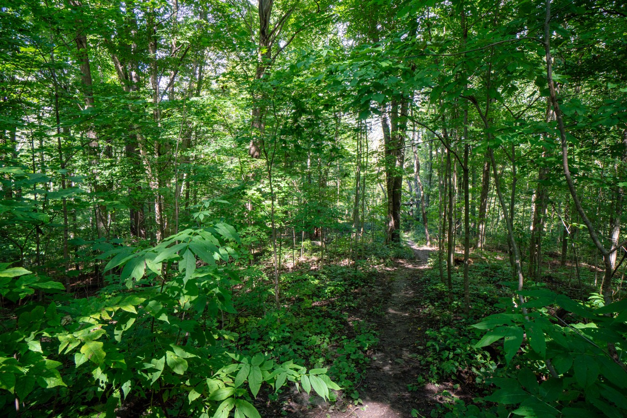 357051 35th Line, Embro, Ontario  N0J 1J0 - Photo 21 - RP1393763976