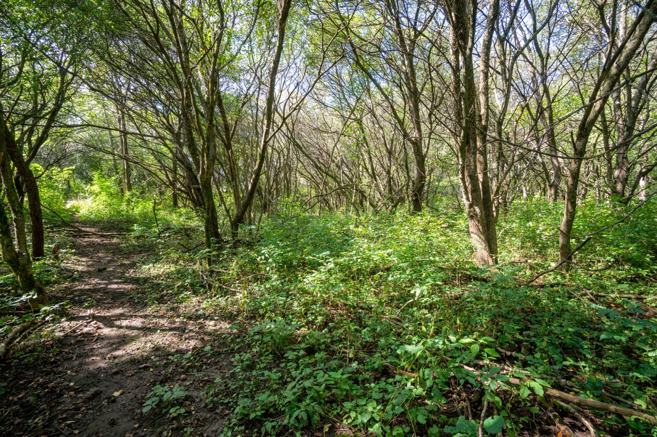 357051 35th Line, Embro, Ontario  N0J 1J0 - Photo 22 - RP1393763976