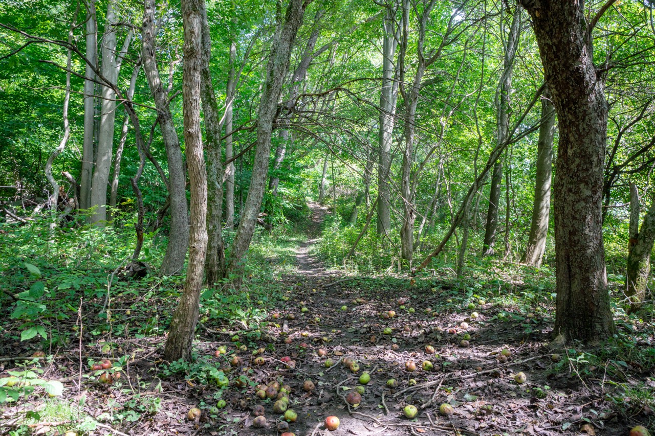 357051 35th Line, Embro, Ontario  N0J 1J0 - Photo 23 - RP1393763976