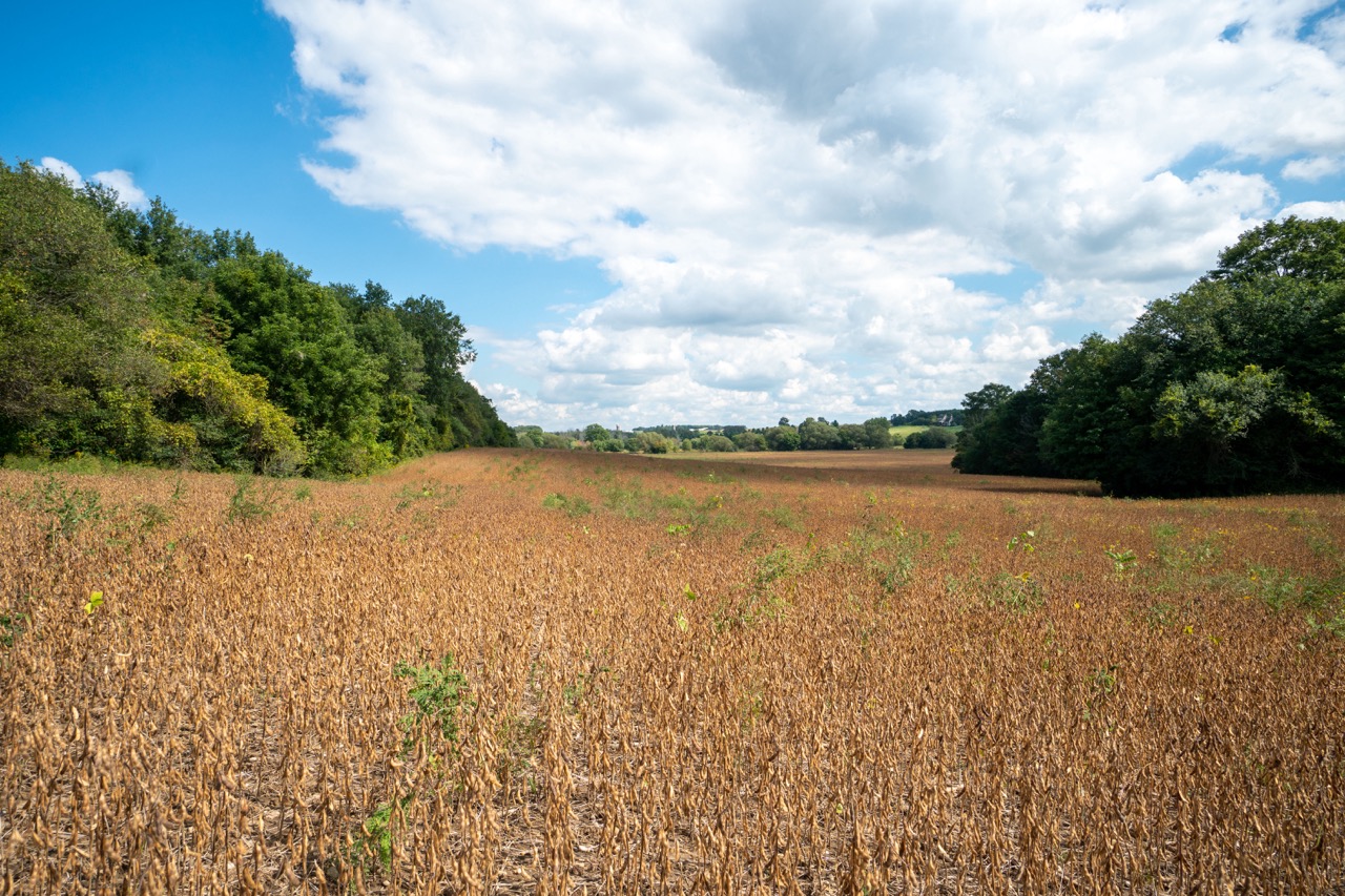 357051 35th Line, Embro, Ontario  N0J 1J0 - Photo 24 - RP1393763976