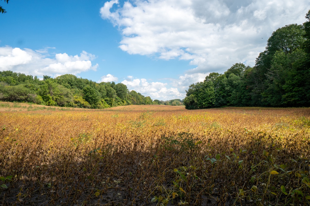 357051 35th Line, Embro, Ontario  N0J 1J0 - Photo 25 - RP1393763976