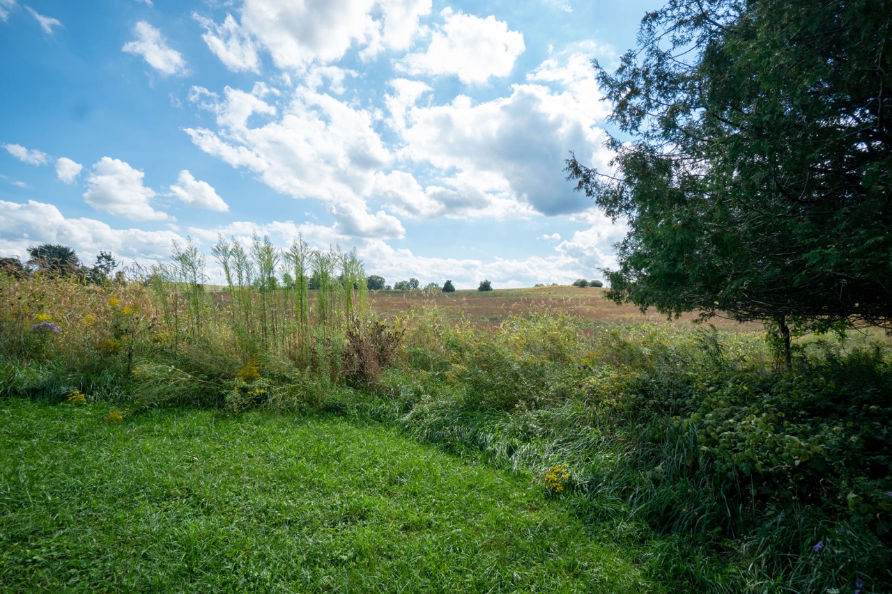 357051 35th Line, Embro, Ontario  N0J 1J0 - Photo 33 - RP1393763976