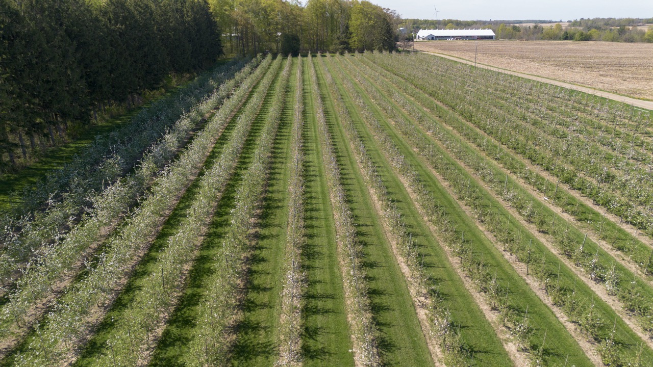 1355 Ausable Road, Arkona, Ontario    - Photo 10 - RP9140738261