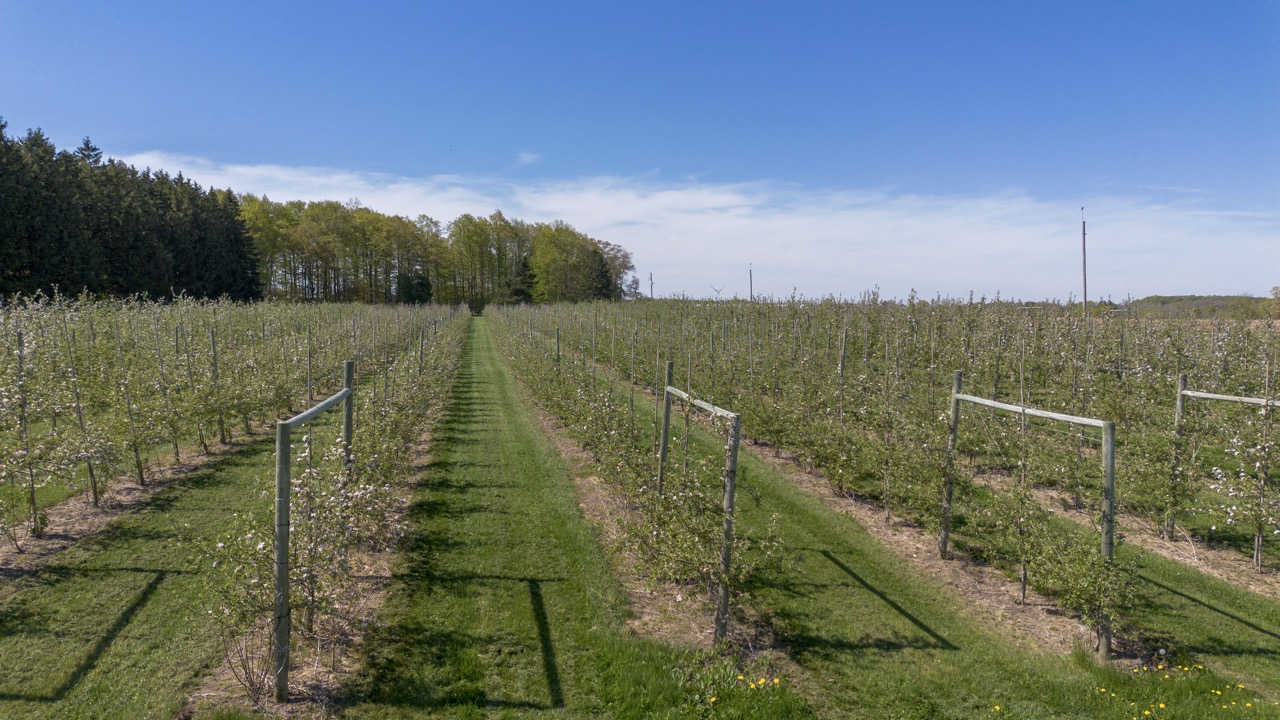 1355 Ausable Road, Arkona, Ontario    - Photo 11 - RP9140738261