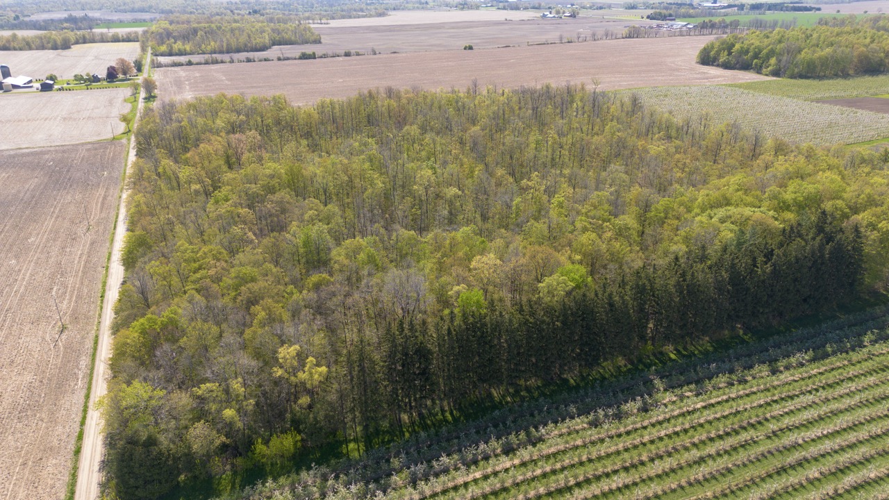 1355 Ausable Road, Arkona, Ontario    - Photo 12 - RP9140738261