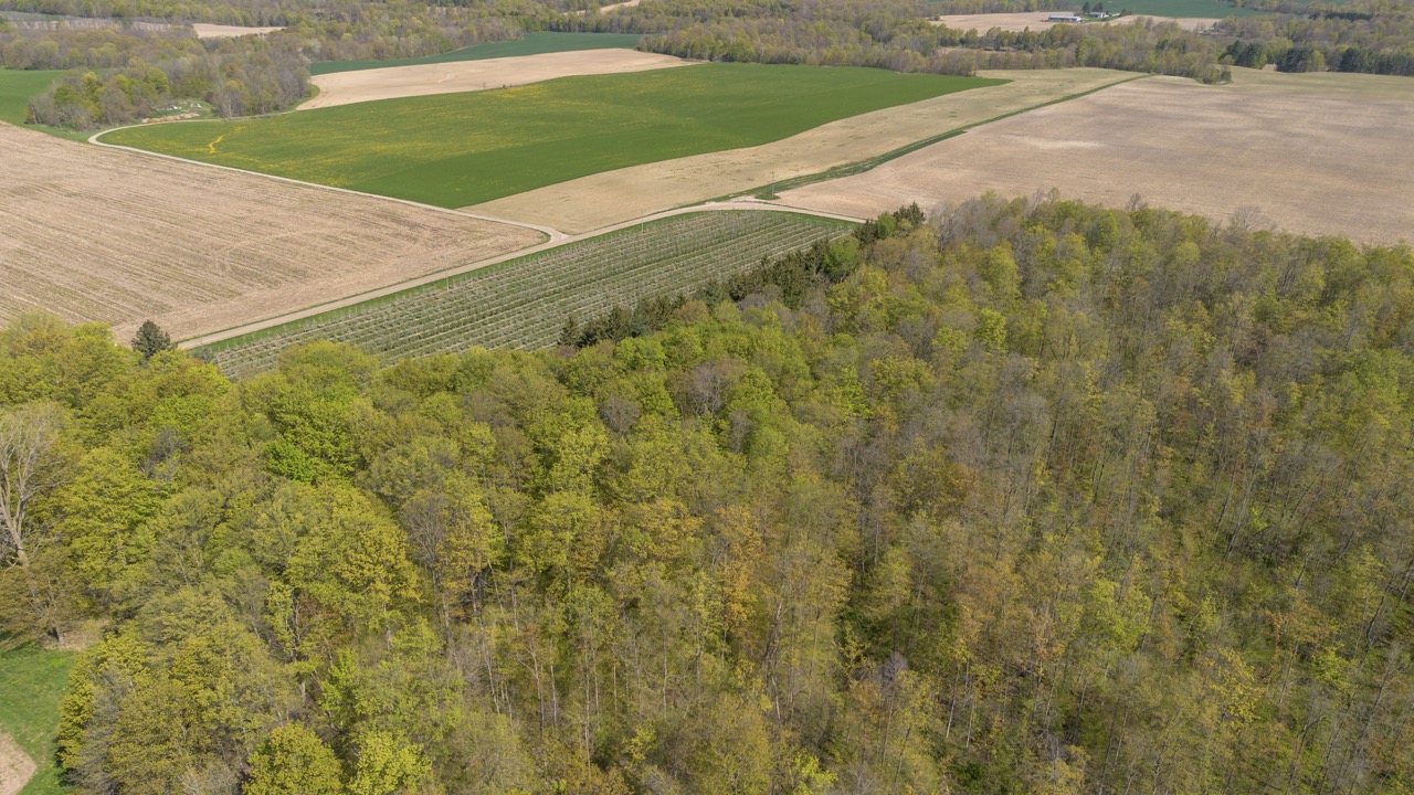 1355 Ausable Road, Arkona, Ontario    - Photo 13 - RP9140738261