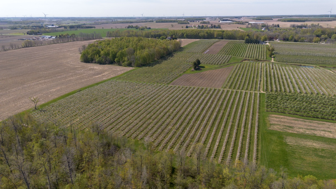 1355 Ausable Road, Arkona, Ontario    - Photo 16 - RP9140738261