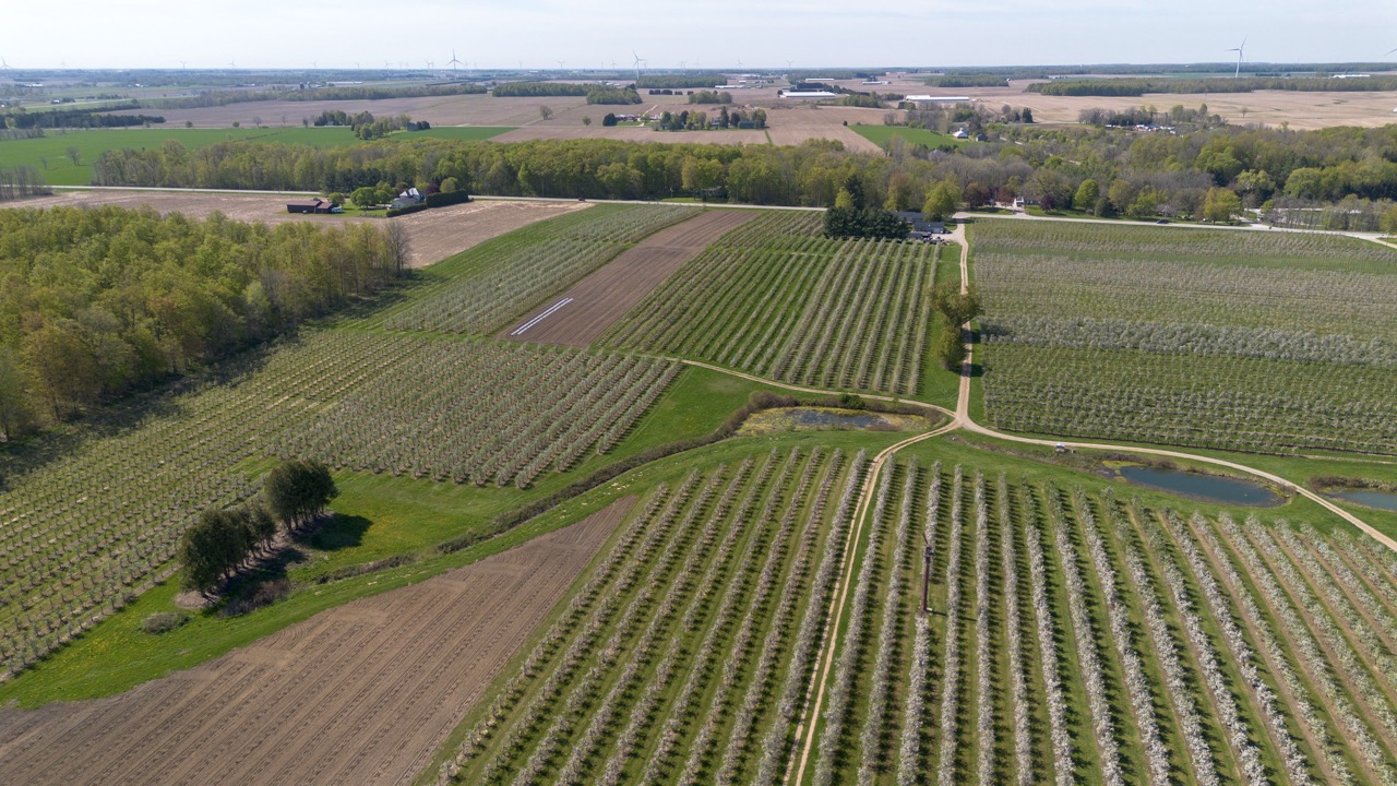 1355 Ausable Road, Arkona, Ontario    - Photo 19 - RP9140738261